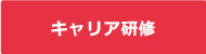 キャリア研修