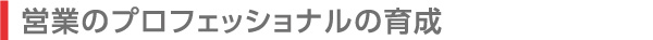 営業のプロフェッショナルの育成