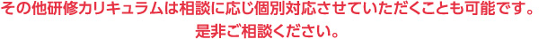 その他研修カリキュラムは相談に応じ個別対応させていただくことも可能です。是非ご相談ください。