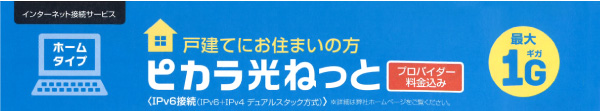 戸建てピカラ