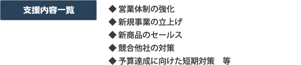 支援内容一覧・営業体制の強化、新規事業の立上げ、新商品のセールス、競合他社の対策、予算達成に向けた短期対策　等